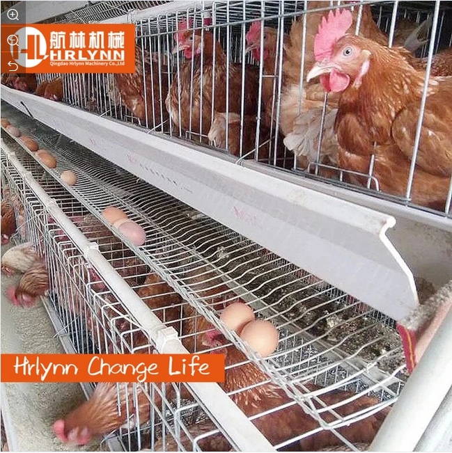Automatic Egg Hen Poultry Equipment Chicken Layer Cage for Africa 